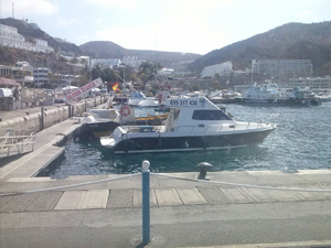 Gui Gui Excursion Bateau experience Gran Canaria Boat Trips 2026