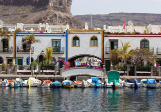 Combo SuperCat observation Dauphins Marche Puerto Mogan Gran Canaria Boat Trips 2026